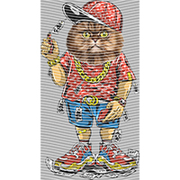 Brand Catalog-ZX 184